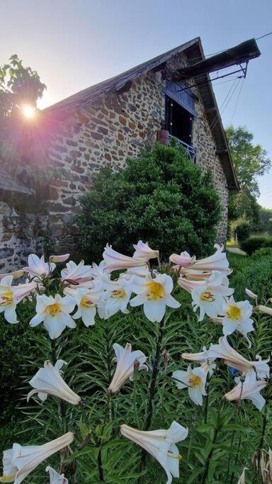 Unique Room With Great View In A Former Old Barn Troche Extérieur photo